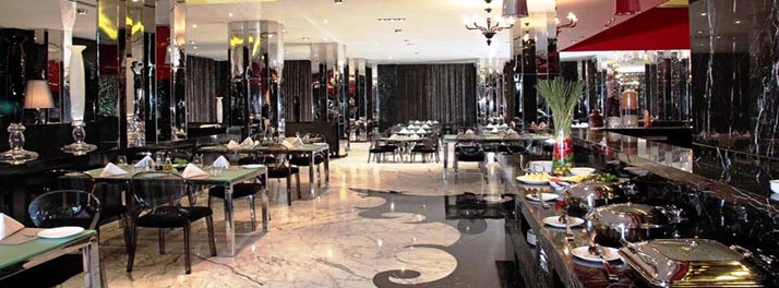 427/Radisson Blu Hotel Paschim Vihar - New Delhi 07.jpg